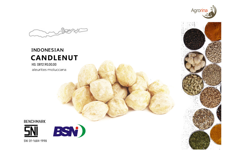 Organic Candlenut Indonesia